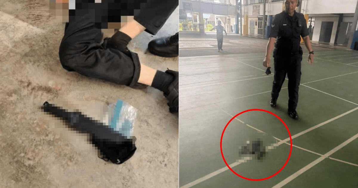 A description of the image