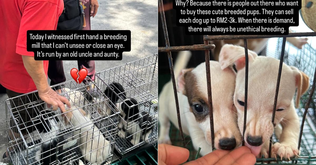 A description of the image