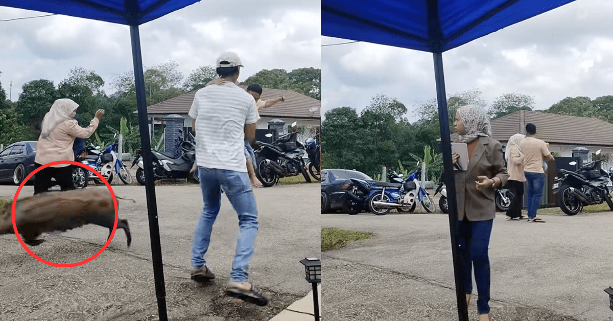 A description of the image