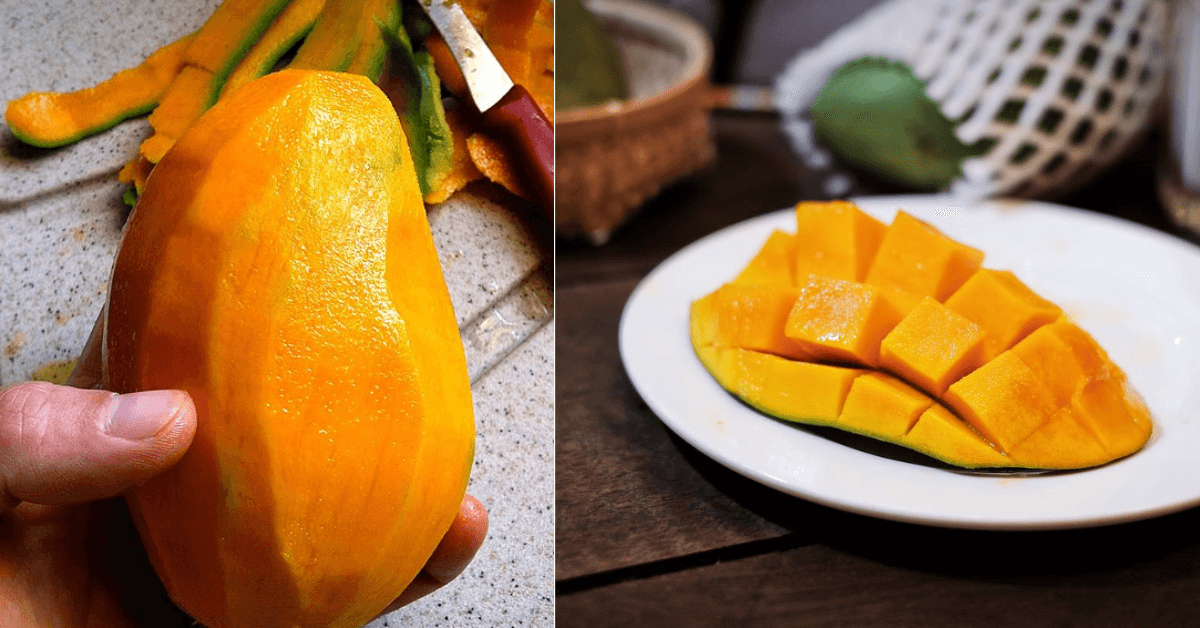 A description of the image