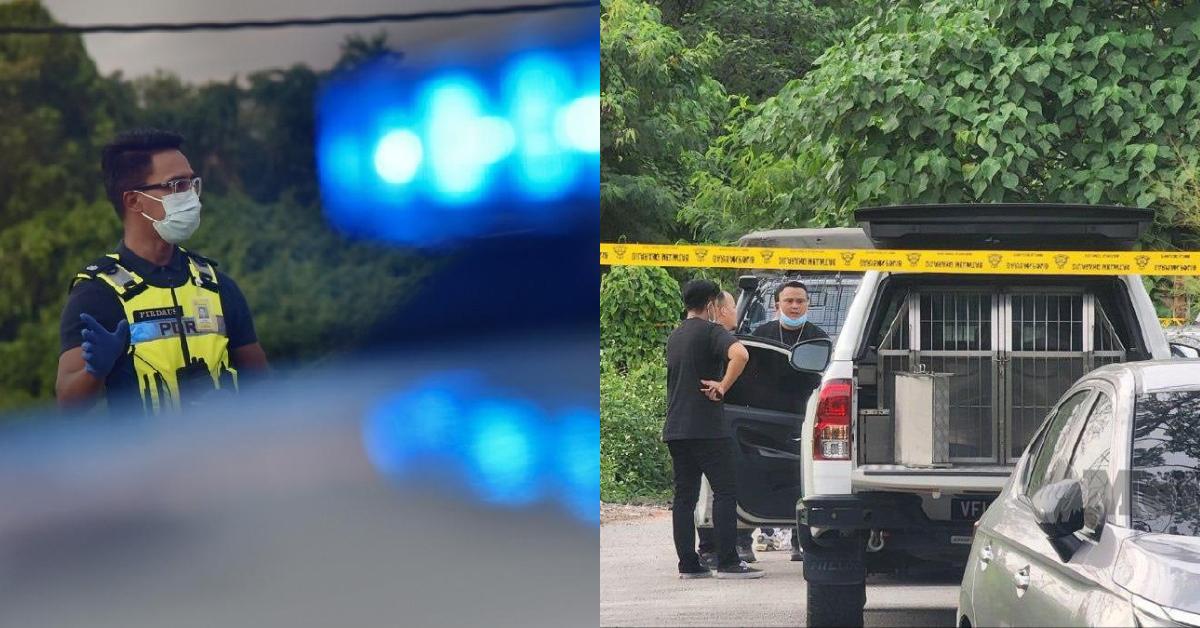 A description of the image