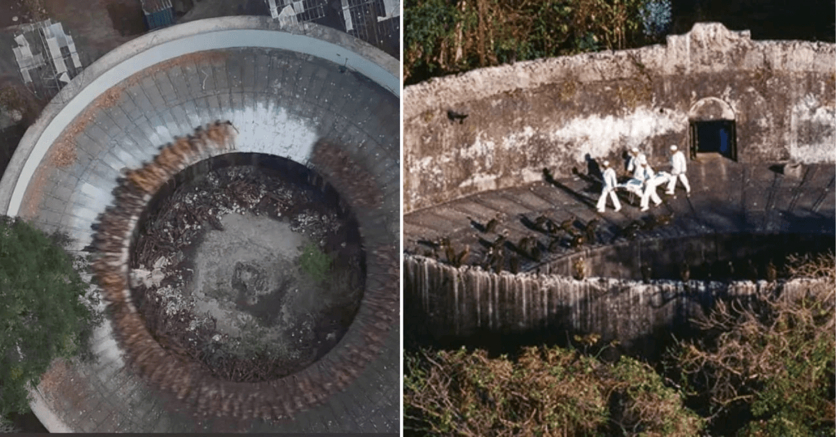 A description of the image