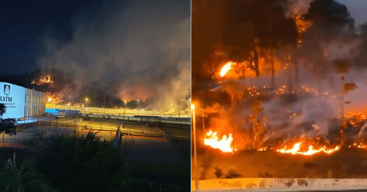 A description of the image