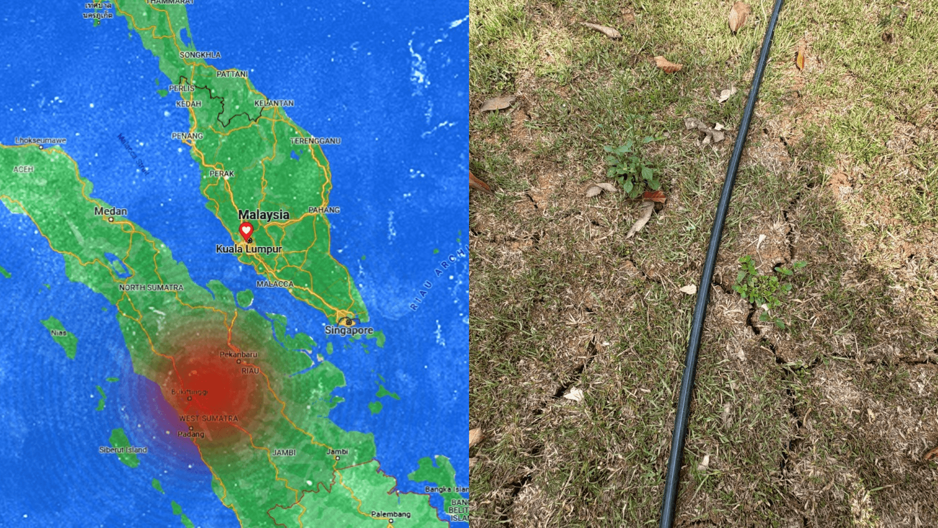 A description of the image