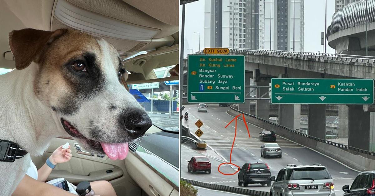 A description of the image