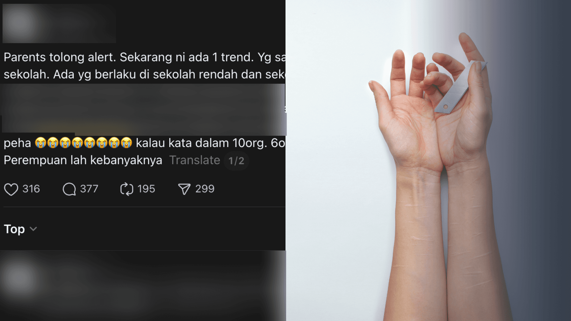 A description of the image