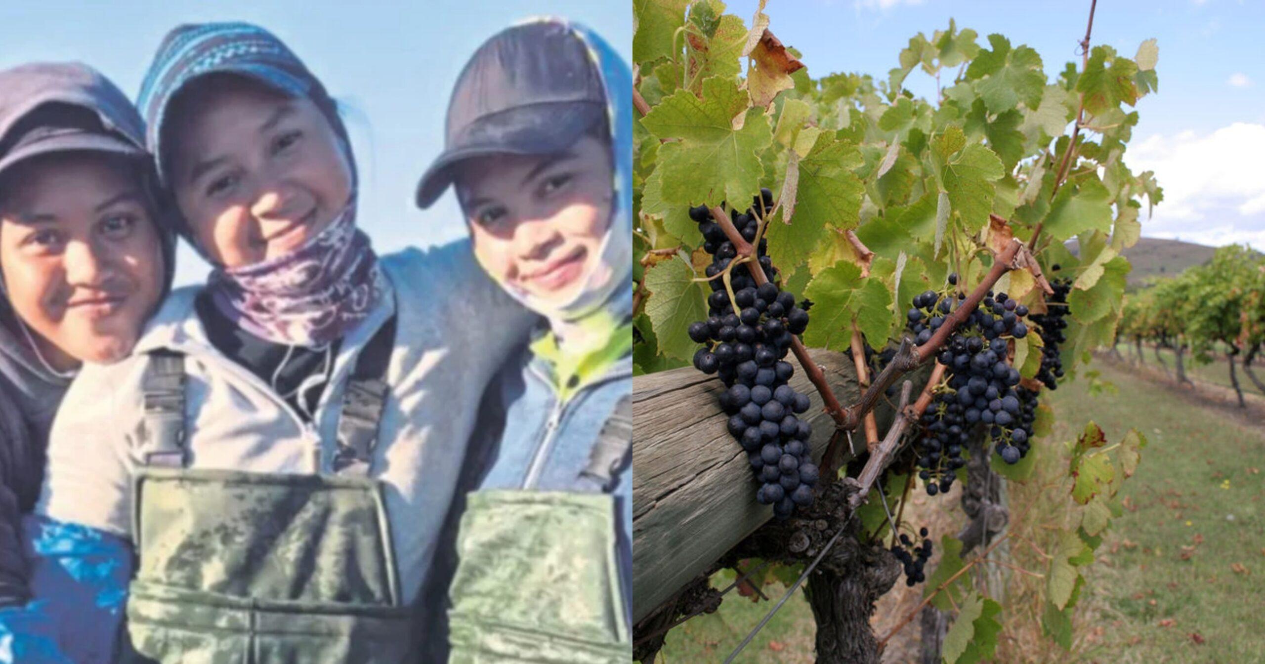 A description of the image