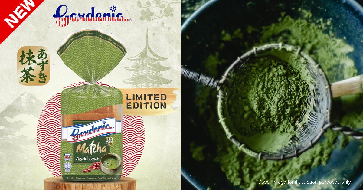 A description of the image