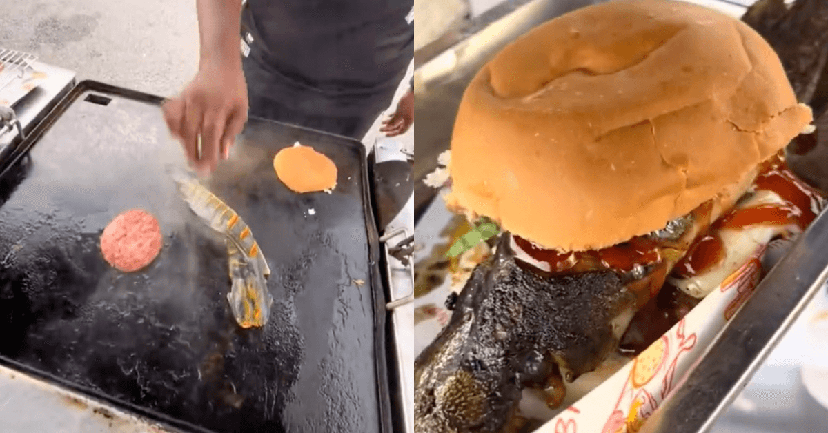 A description of the image