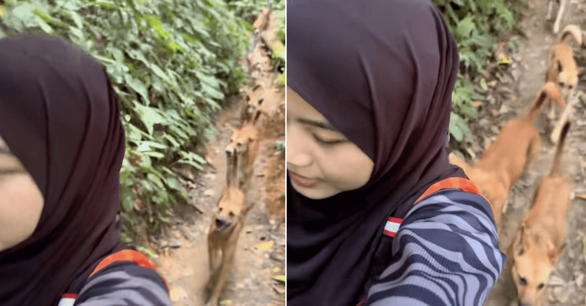 A description of the image