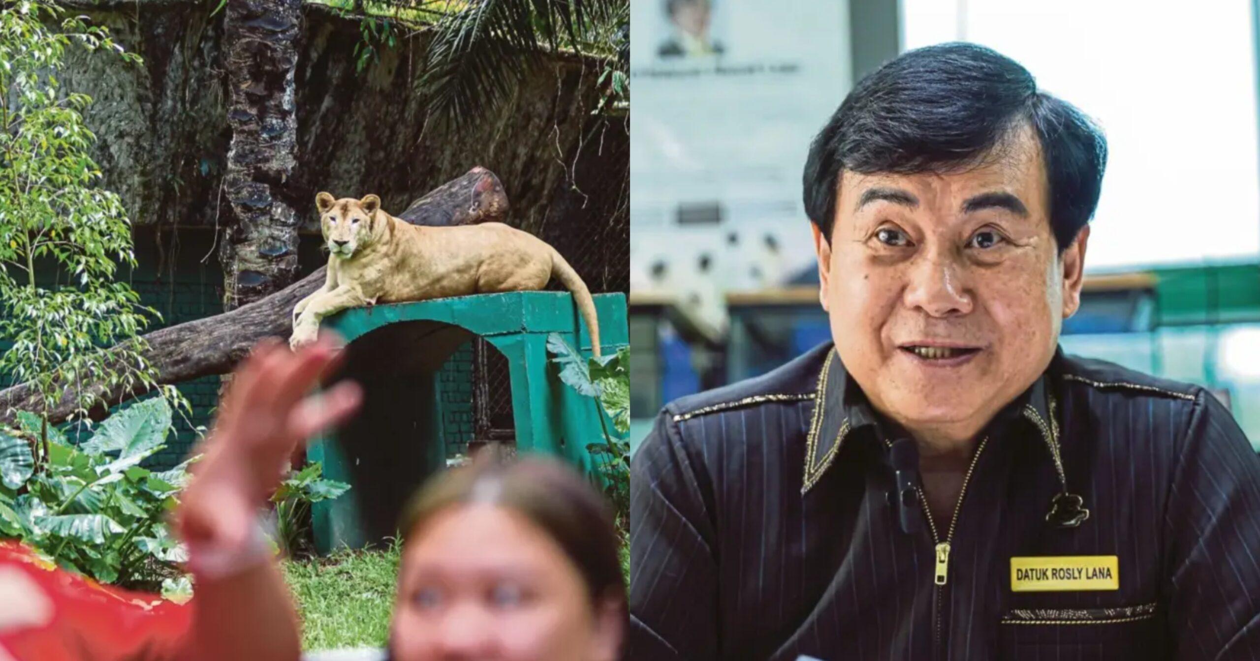 A description of the image