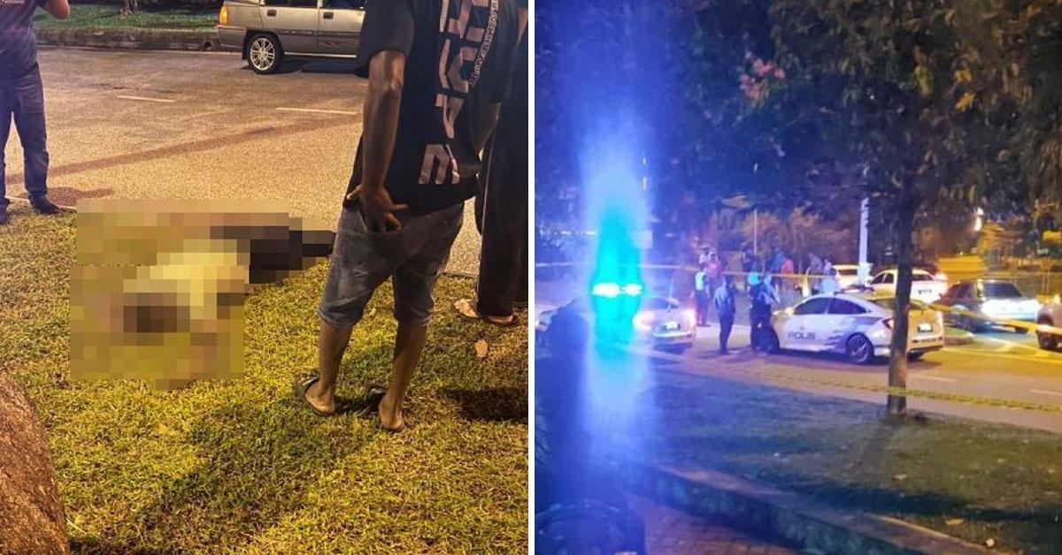 A description of the image