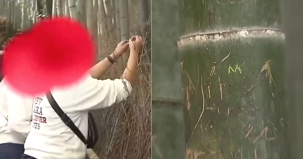 A description of the image