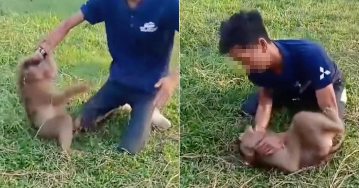 A description of the image