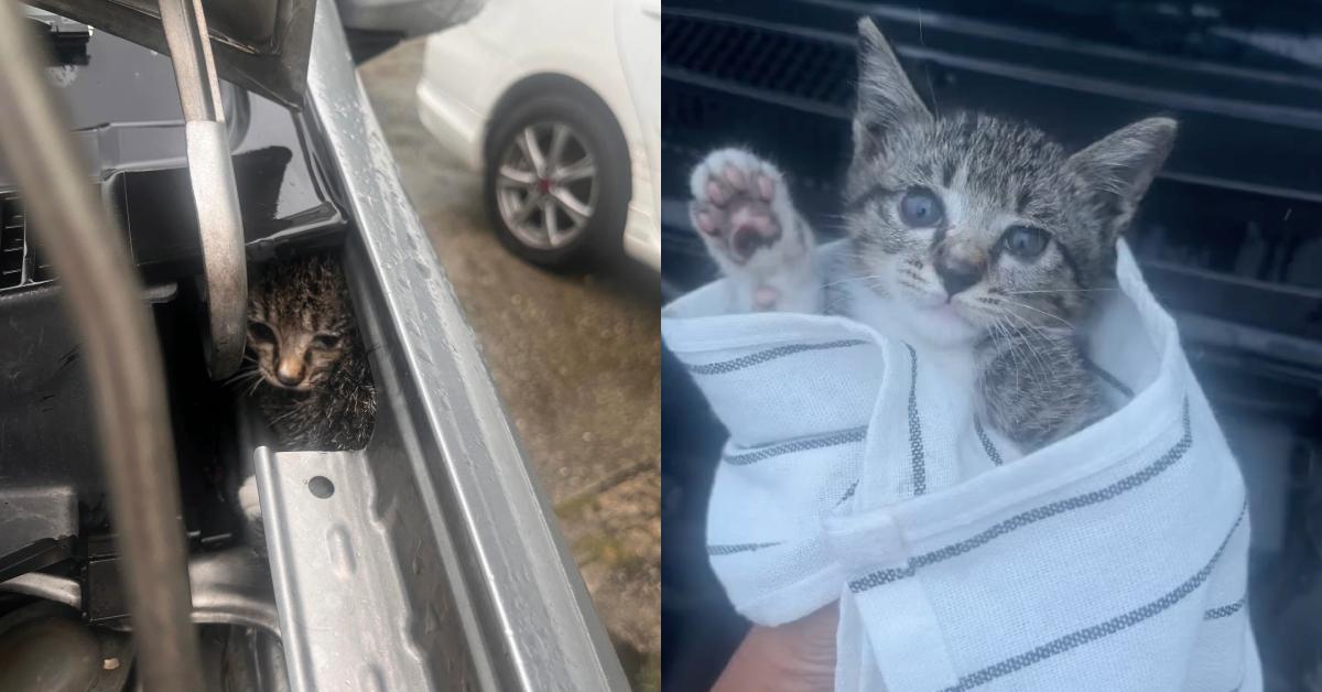 A description of the image