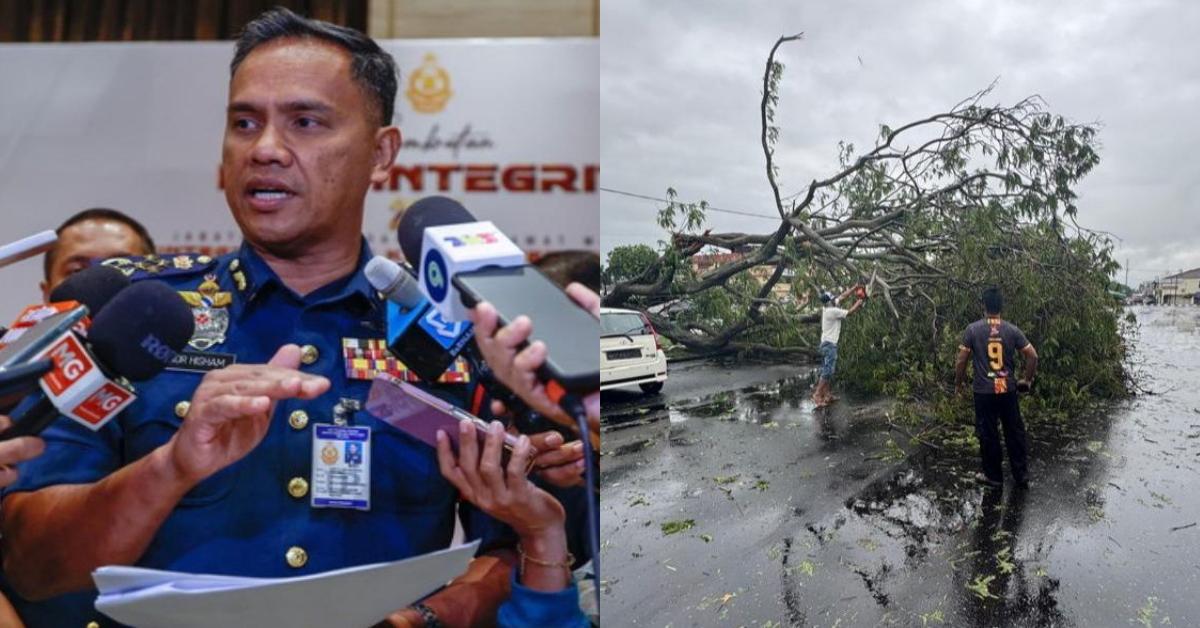 A description of the image