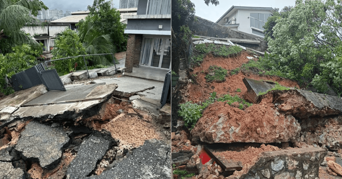 A description of the image