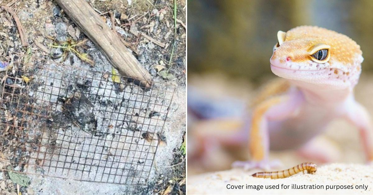 A description of the image