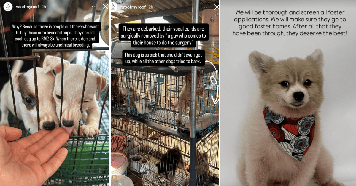 A description of the image