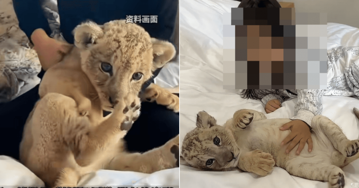 A description of the image