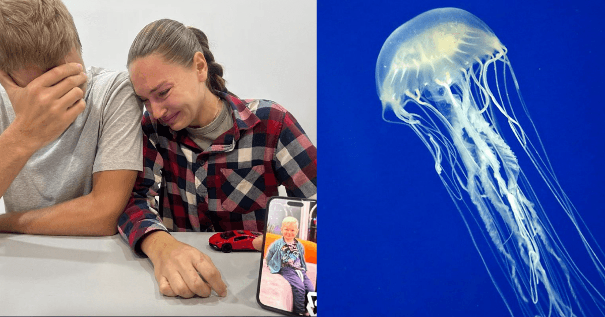 A description of the image