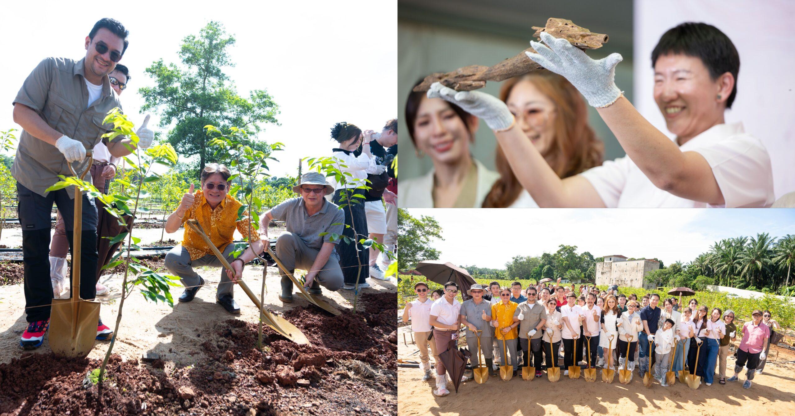 A description of the image