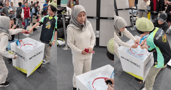 A description of the image