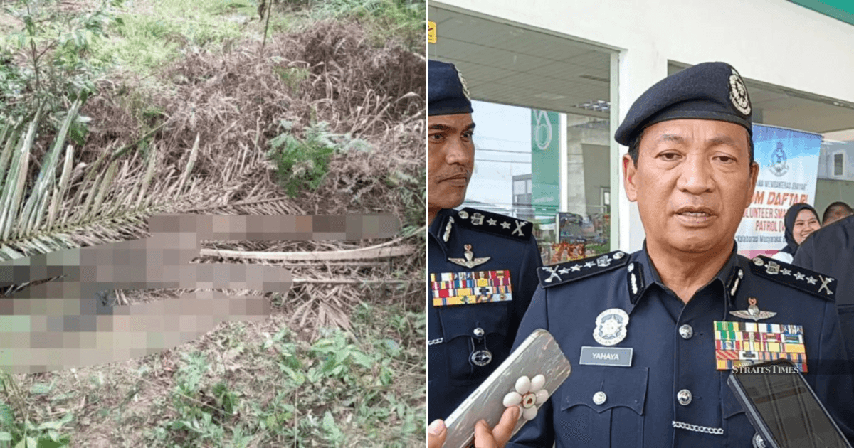 A description of the image