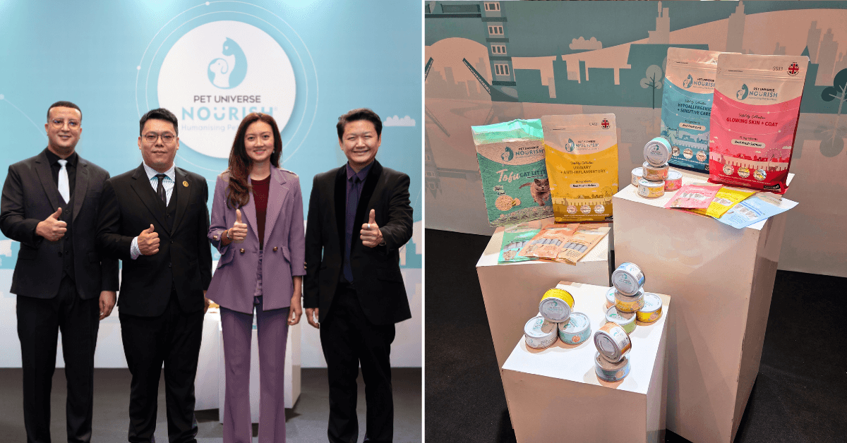 A description of the image