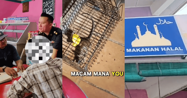 A description of the image