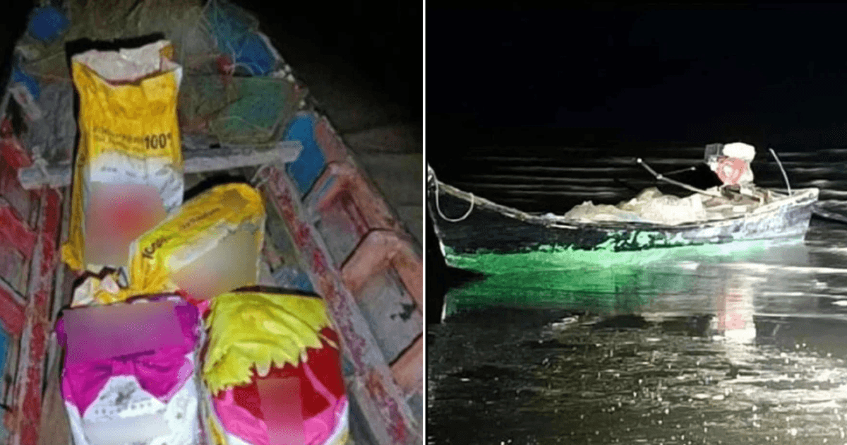 A description of the image