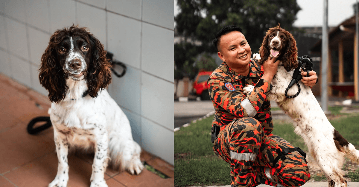 A description of the image