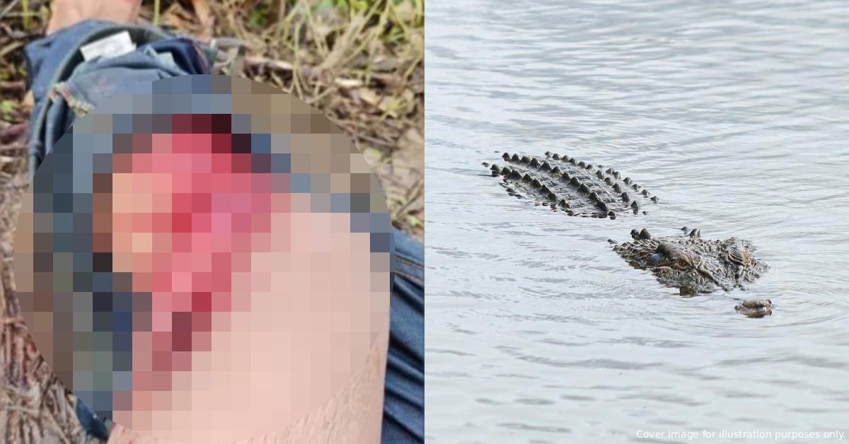 A description of the image