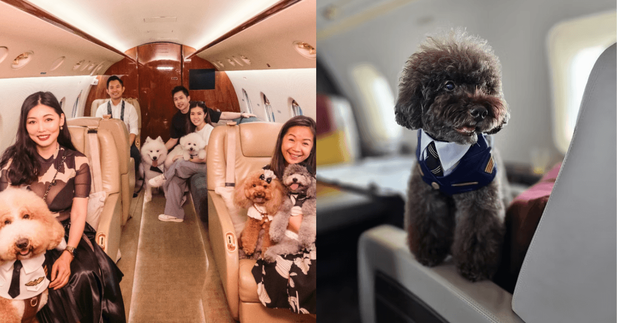 A description of the image