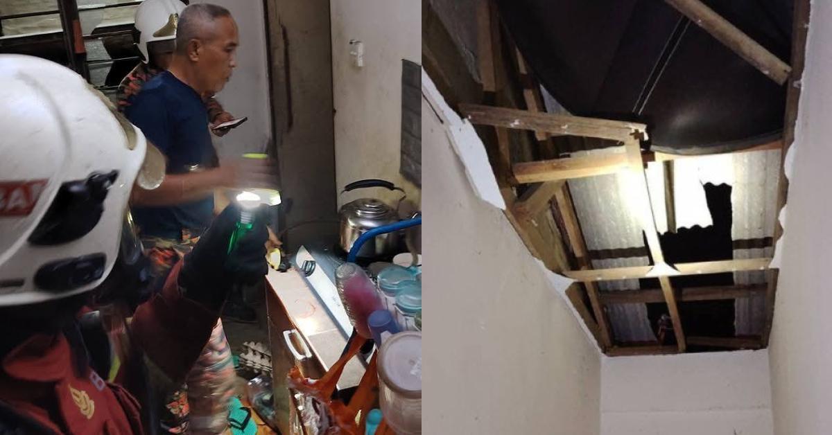 A description of the image