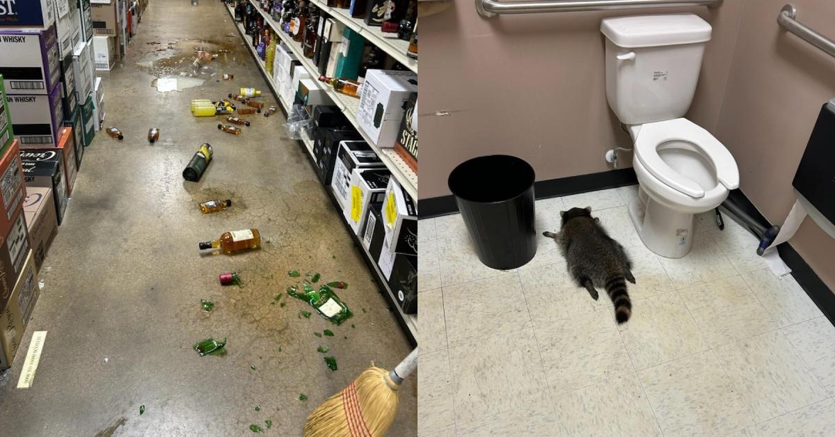 A description of the image