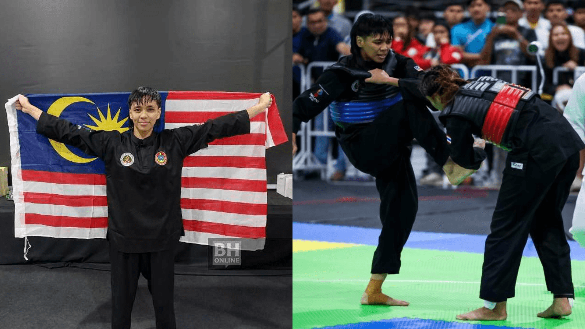 A description of the image