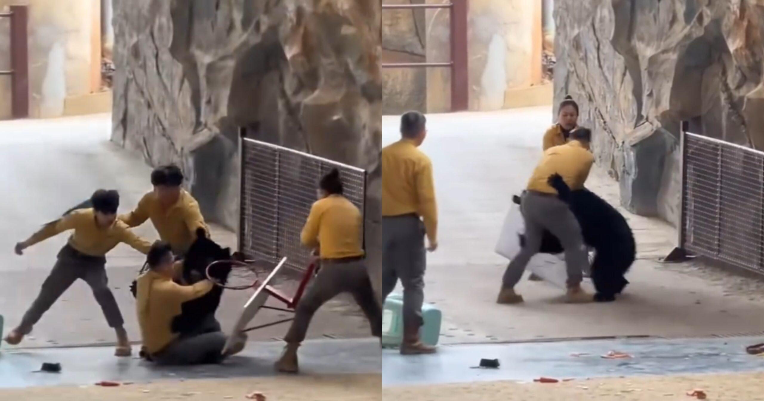 A description of the image