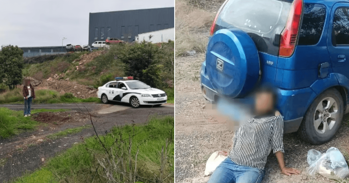 A description of the image