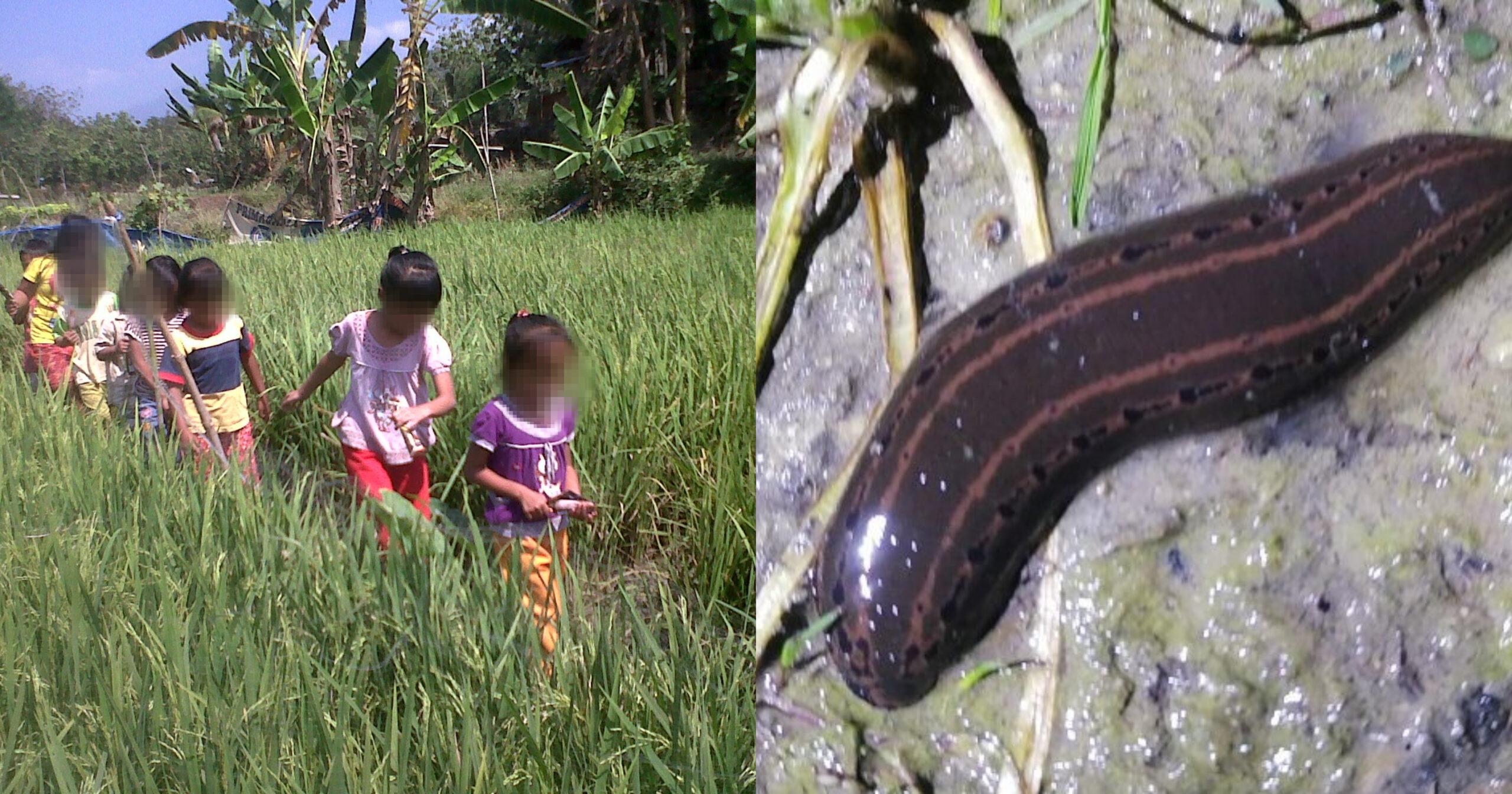 A description of the image