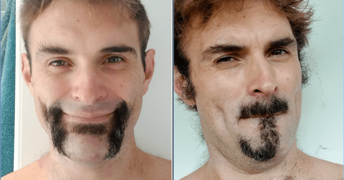 A description of the image