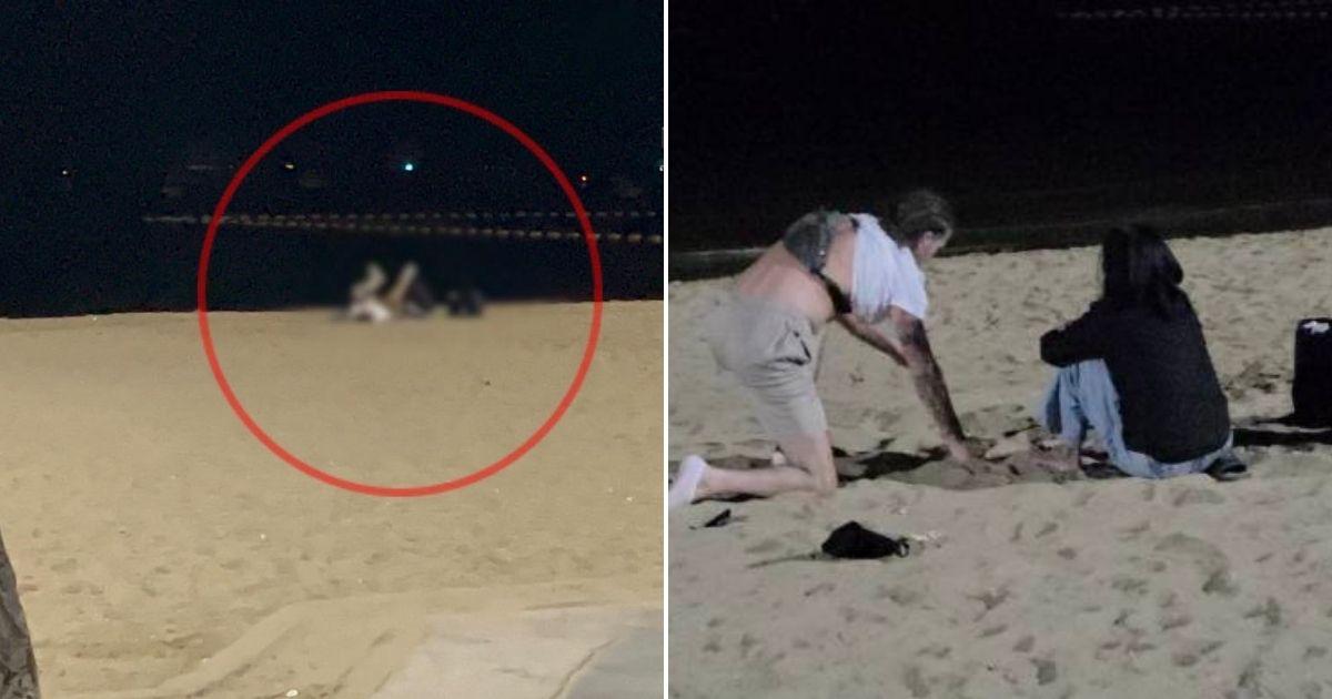 A description of the image