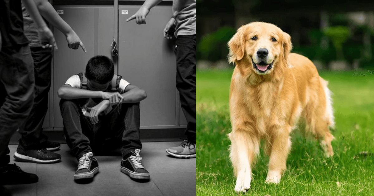 A description of the image