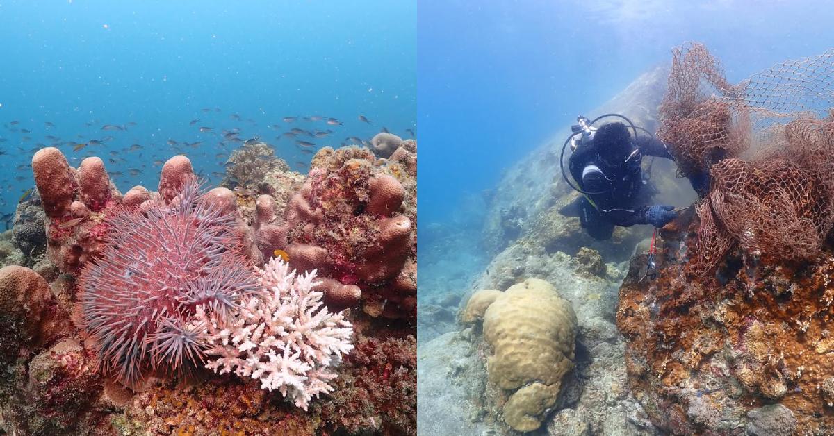 A description of the image