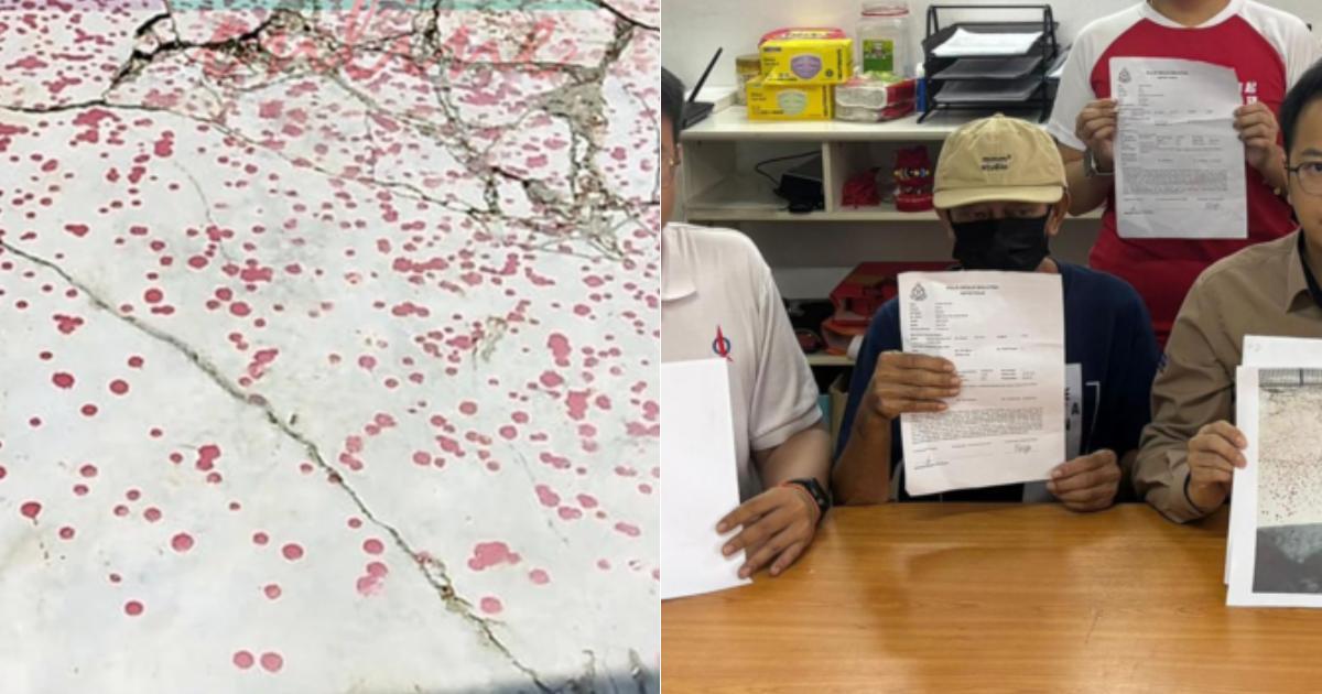 A description of the image