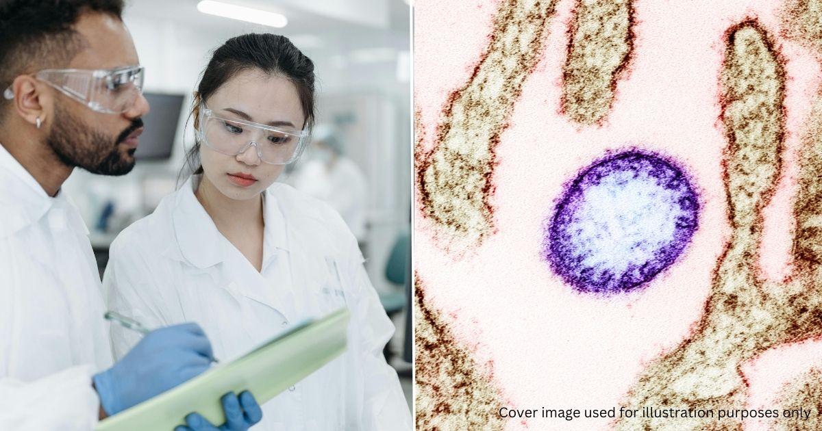 A description of the image