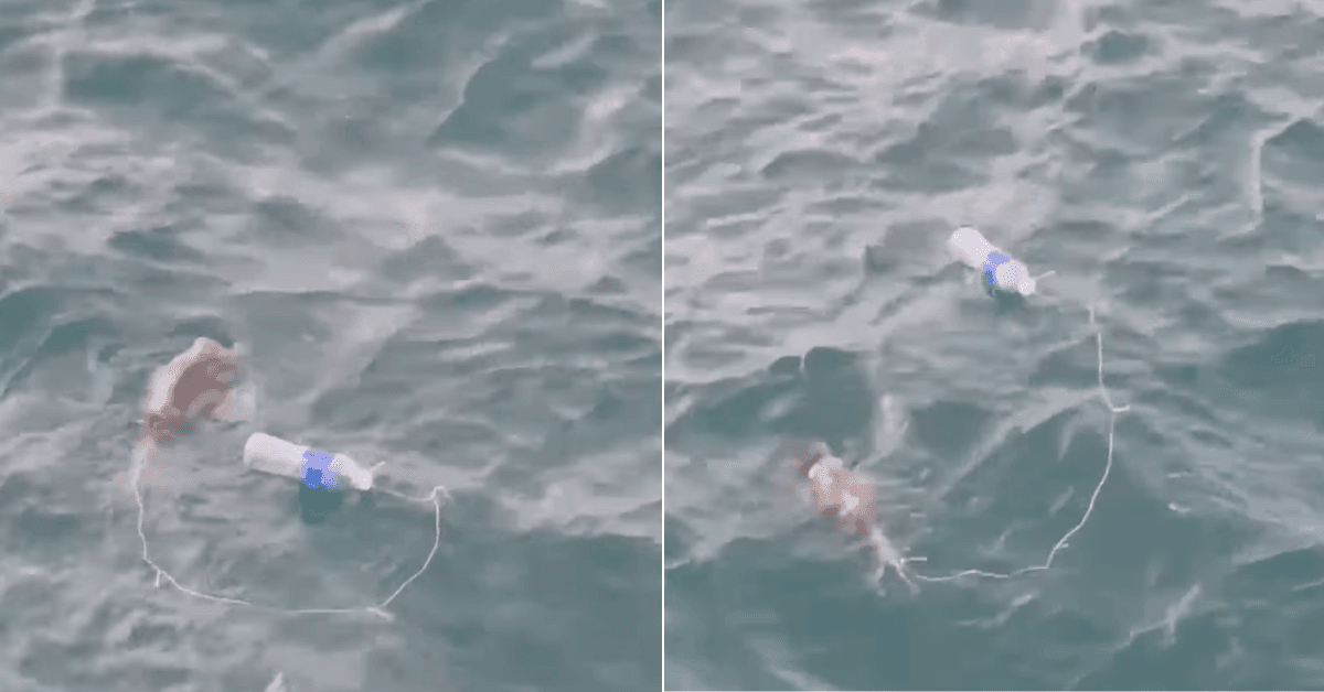 A description of the image