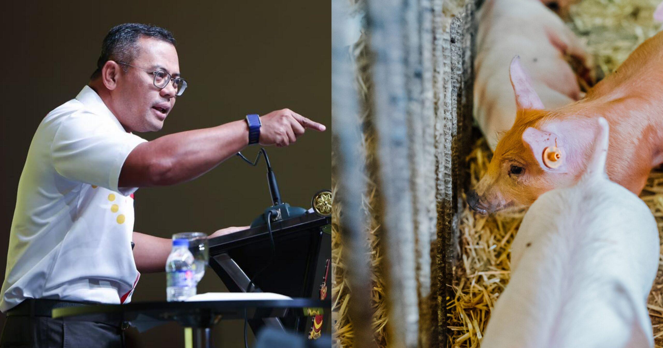 A description of the image