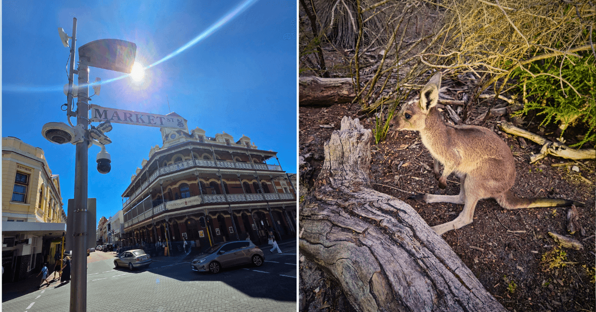 A description of the image