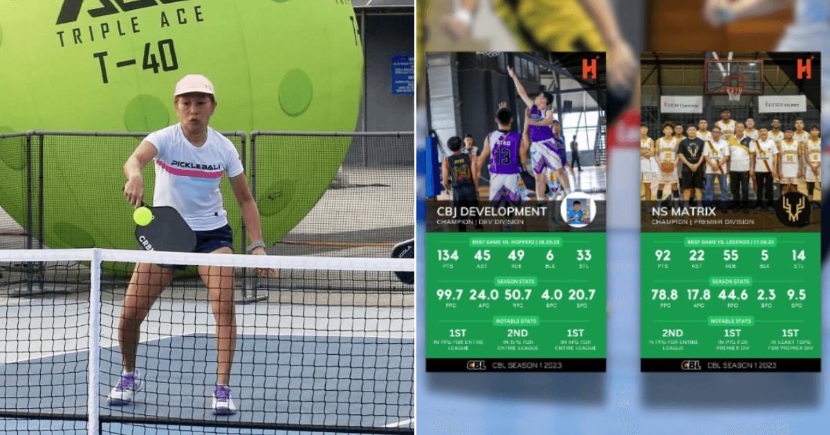 A description of the image